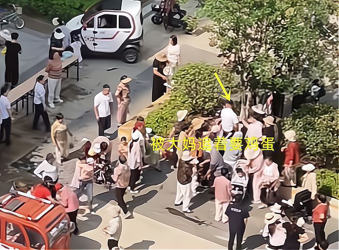 包粽子大妈连盆都端走了还围堵物业要鸡蛋pg电子模拟器试玩山东：小区端午免费(图1)