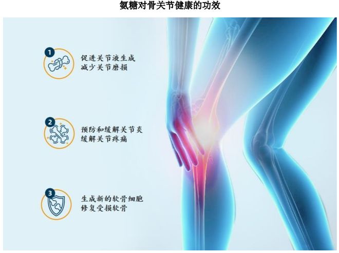 团：扎根运动健康赛道凭多元布局赢长远未来pg电子试玩网站免费HMB全球龙头技源集(图3)
