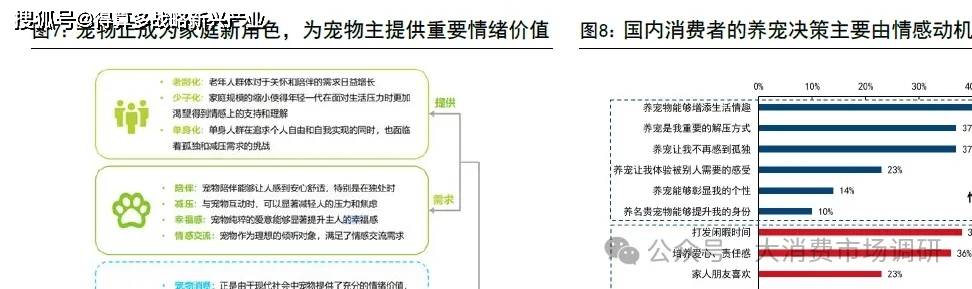 、前景预测与建议分析（30页报告）pg电子入口宠物食品市场发展现状(图6)